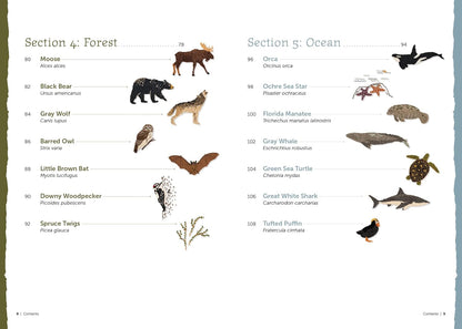 The Field Guide to Embroidery: 52 North American Animal and Plant Designs for Nature Lovers by Jessica Kemper