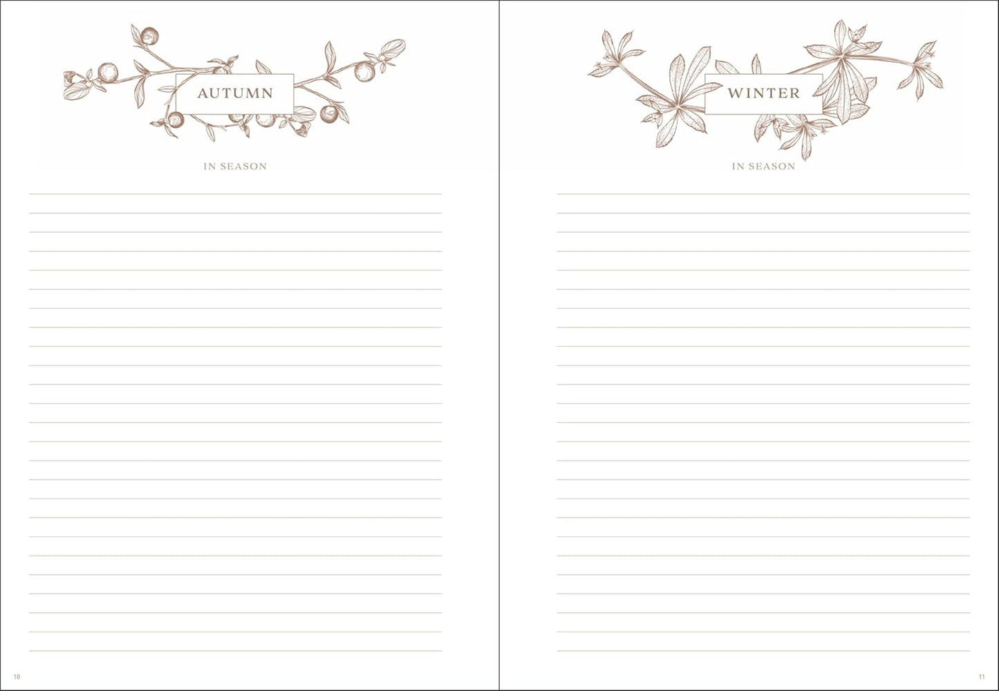 Gather: A Foraging Journal by Maggie Enterrios
