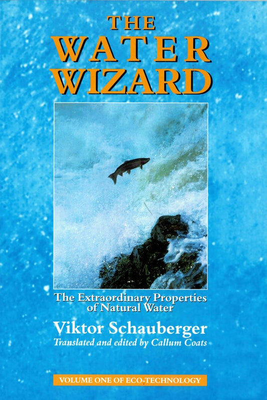 The Water Wizard: The Extraordinary Properties of Natural Water: The Extraordinary Power of Natural Water