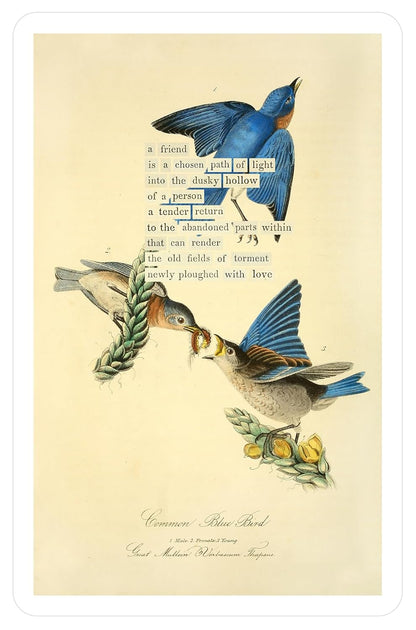 An Almanac of Birds: 100 Divinations for Uncertain Days