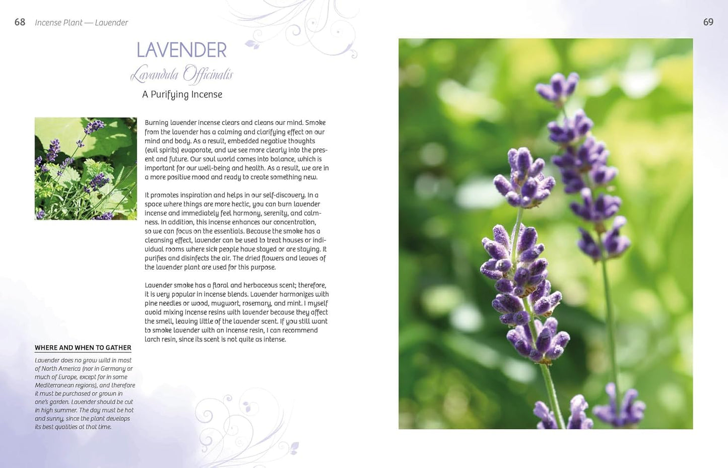 Essence and Ember: Gathering and Preparing Herbal, Resin, and Wood Incense: Gathering and Preparing Herbal, Resin, and Wood Incense