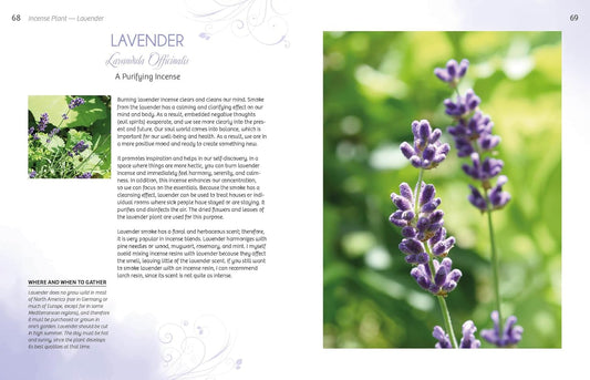 Essence and Ember: Gathering and Preparing Herbal, Resin, and Wood Incense: Gathering and Preparing Herbal, Resin, and Wood Incense