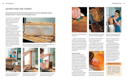 The Practical Book of Beekeeping: A Complete How-To Manual on the Satisfying Art of Keeping Bees and Their Day to Day Care by David Cramp
