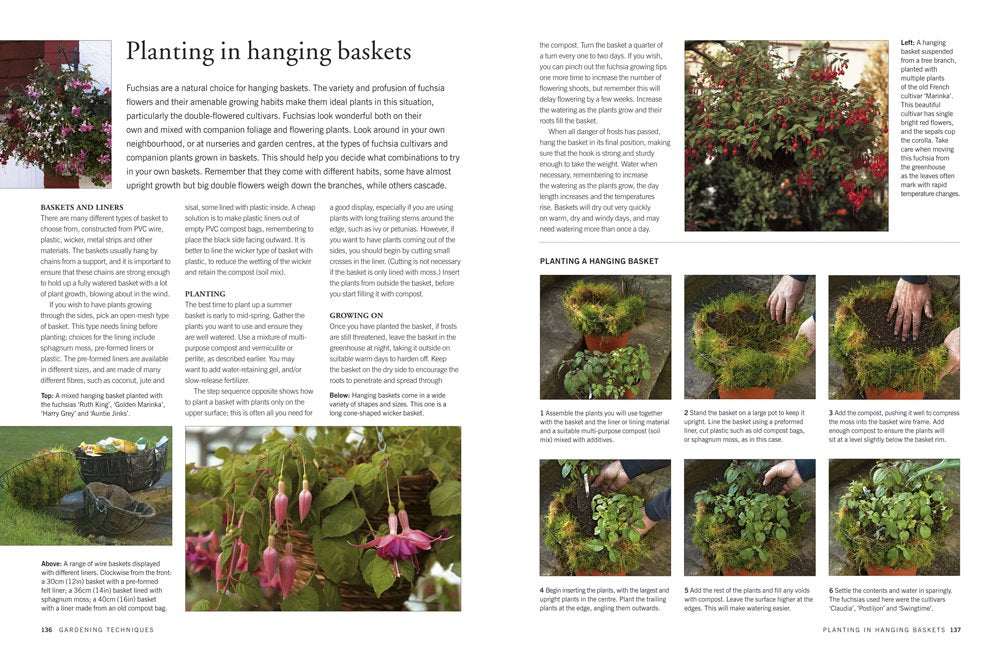 How to Propagate 375 Plants: A Practical Guide to Propagating Your Own Flowers, Foliage Plants, Trees, Shrubs, Climbers, Wet-Loving Plants, Bog and Water Plants, Vegetables and Herbs by Richard Rosenfeld