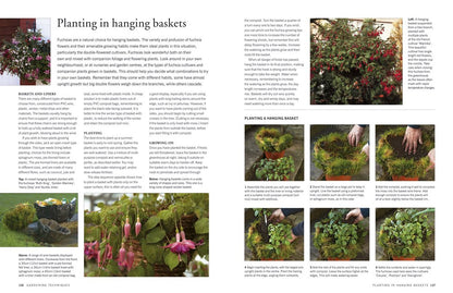 How to Propagate 375 Plants: A Practical Guide to Propagating Your Own Flowers, Foliage Plants, Trees, Shrubs, Climbers, Wet-Loving Plants, Bog and Water Plants, Vegetables and Herbs by Richard Rosenfeld