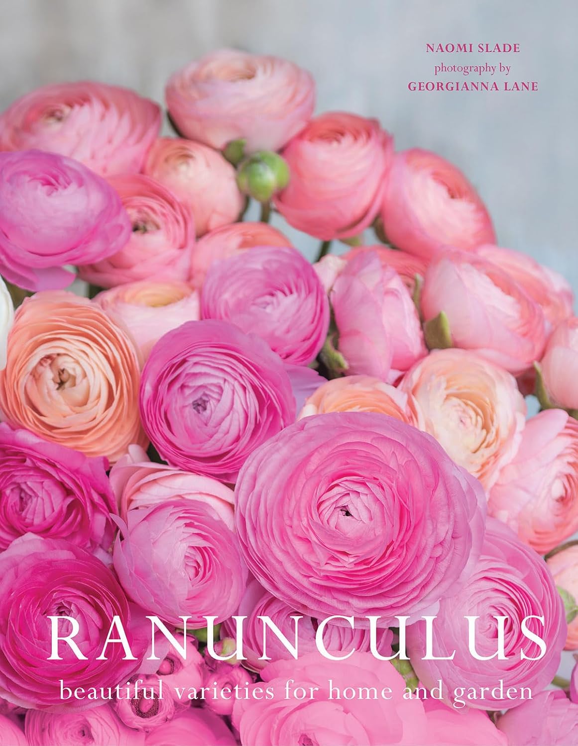 Ranunculus: Beautiful Varieties for Home and Garden: Beautiful Varieties for Home and Garden