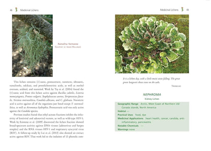Medicinal Lichens: Indigenous Wisdom and Modern Pharmacology: Indigenous Wisdom and Modern Pharmacology by Robert Dale Rogers