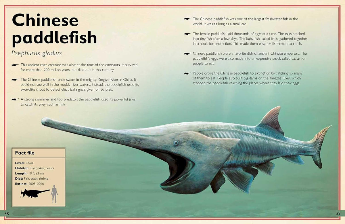 The Magnificent Book of Extinct Animals
