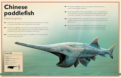 The Magnificent Book of Extinct Animals