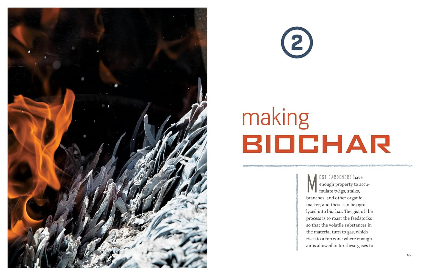 Gardening with Biochar: Supercharge Your Soil with Bioactivated Charcoal- Grow Healthier Plants, Create Nutrient-Rich Soil, and Increase Your Harvest