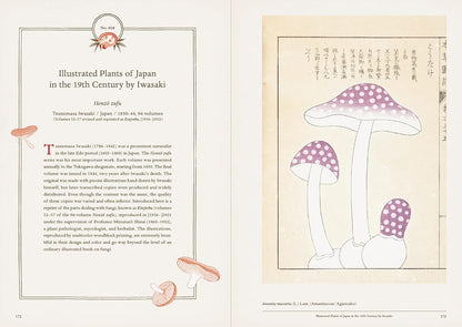 Mushroom Botanical Art