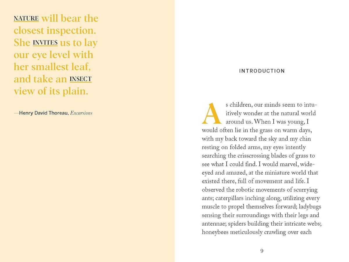 Beekeeping: Explore the Marvelous World of Honeybees (Pocket Nature)