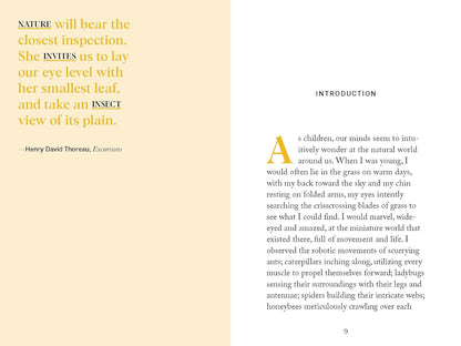Beekeeping: Explore the Marvelous World of Honeybees (Pocket Nature)
