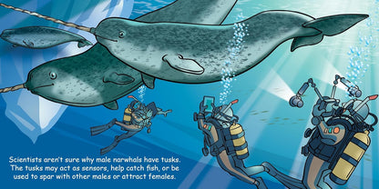 Good Night Narwhals