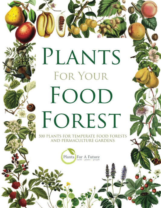 Plants for Your Food Forest: 500 Plants for Temperate Food Forests and Permaculture Gardens: 500 Plants for Temperate Food Forests and Permaculture Gardens