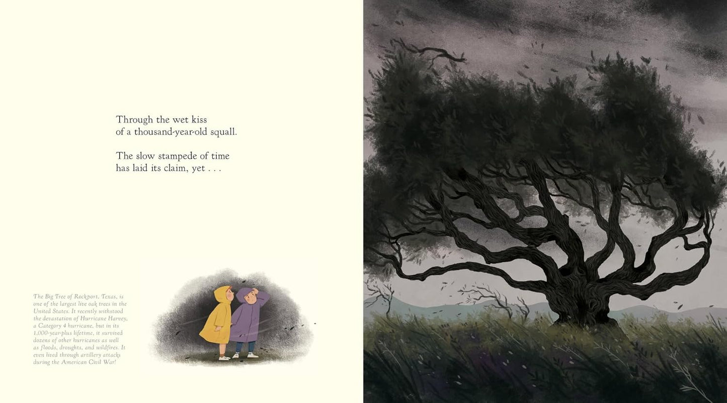 The Witness Trees: Historic Moments and the Trees Who Watched Them Happen