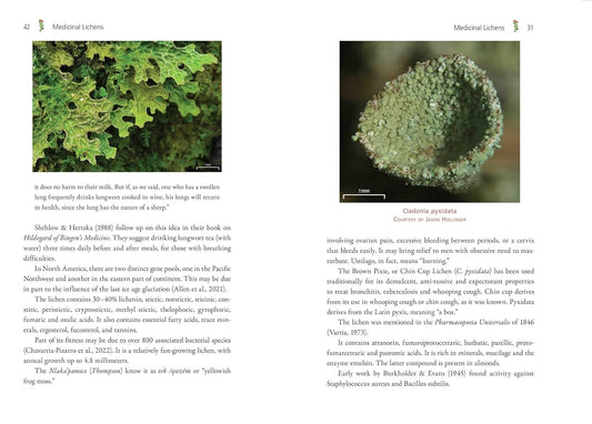 Medicinal Lichens: Indigenous Wisdom and Modern Pharmacology: Indigenous Wisdom and Modern Pharmacology by Robert Dale Rogers