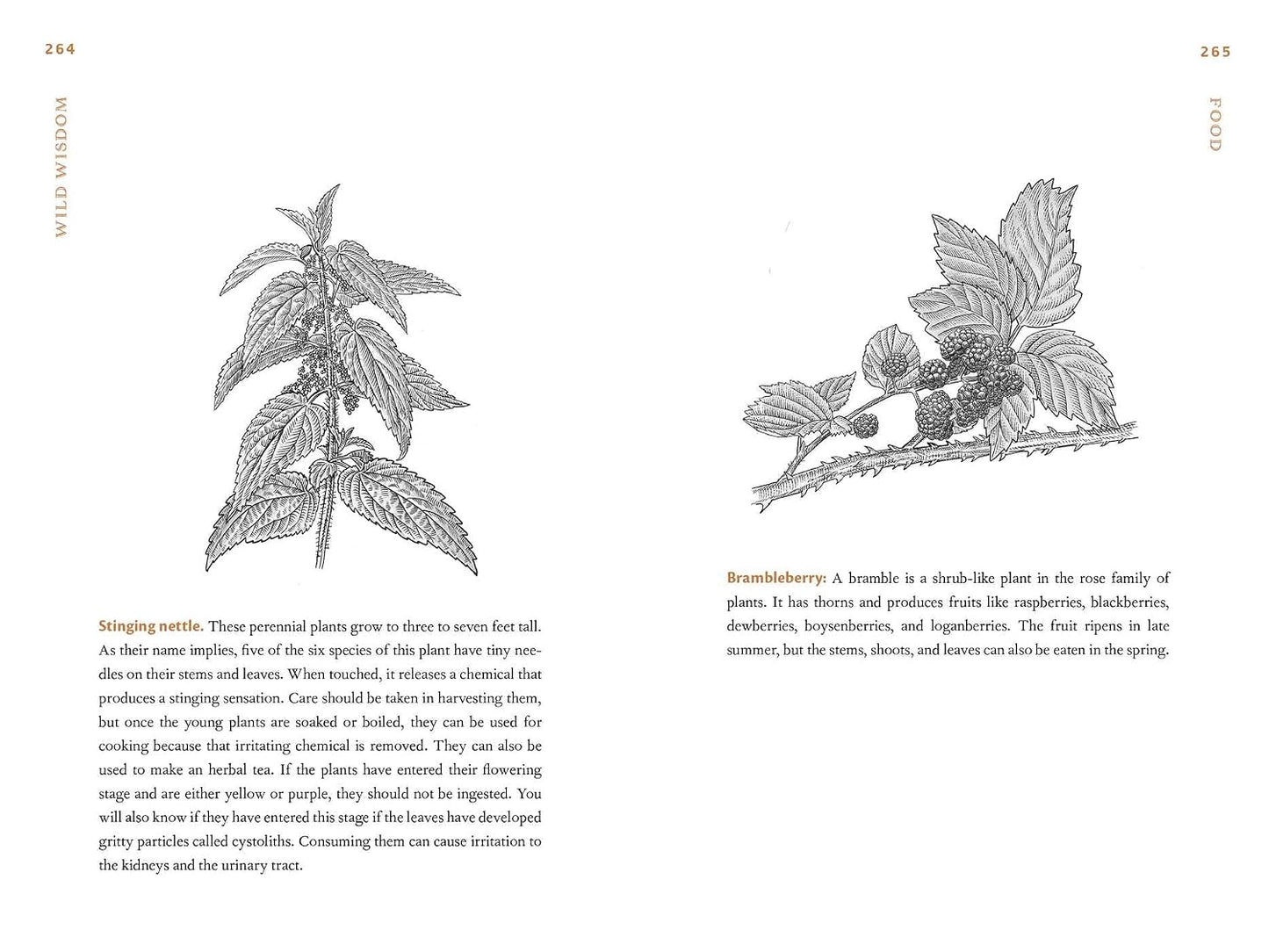 Wild Wisdom: Primal Skills to Survive in Nature by Donny Dust