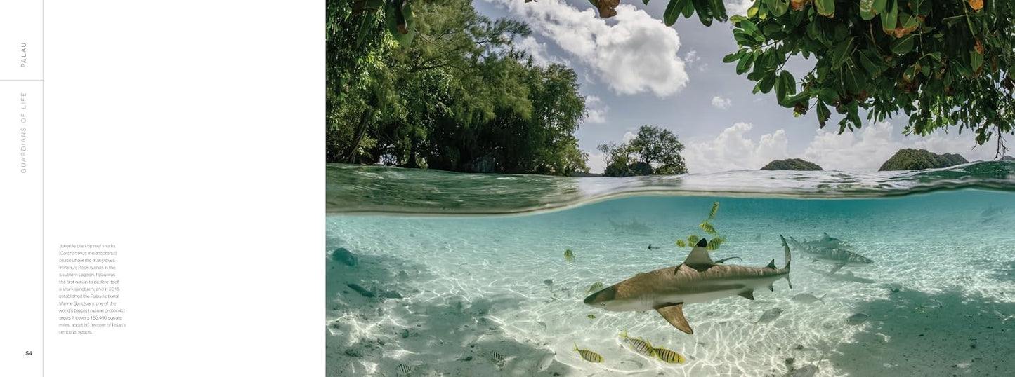 Guardians of Life: Indigenous Knowledge, Indigenous Science, and Restoring the Planet