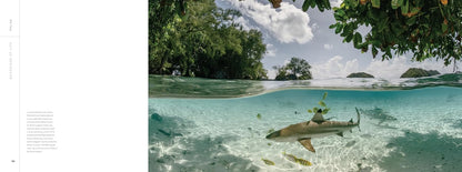 Guardians of Life: Indigenous Knowledge, Indigenous Science, and Restoring the Planet