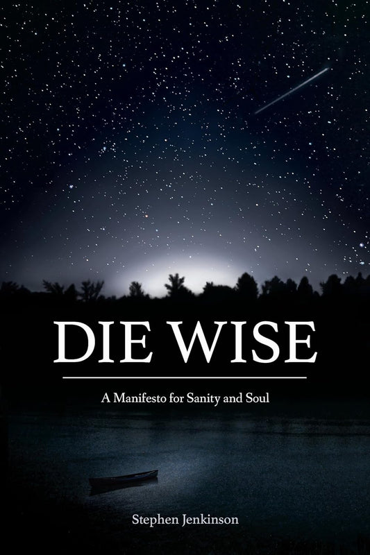 Die Wise: A Manifesto for Sanity and Soul: A Manifesto for Sanity and Soul