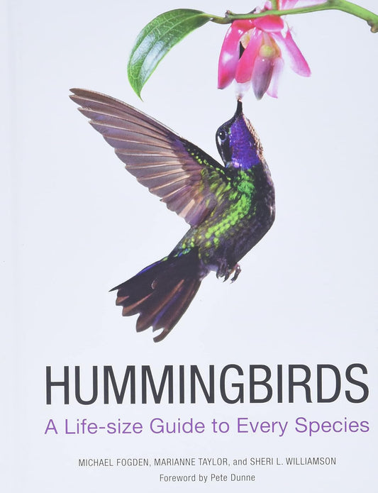Hummingbirds: A Life-Size Guide to Every Species: A Life-Size Guide to Every Species