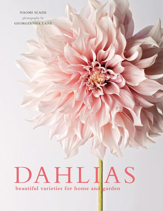 Dahlias: Beautiful Varieties for Home & Garden: Beautiful Varieties for Home & Garden