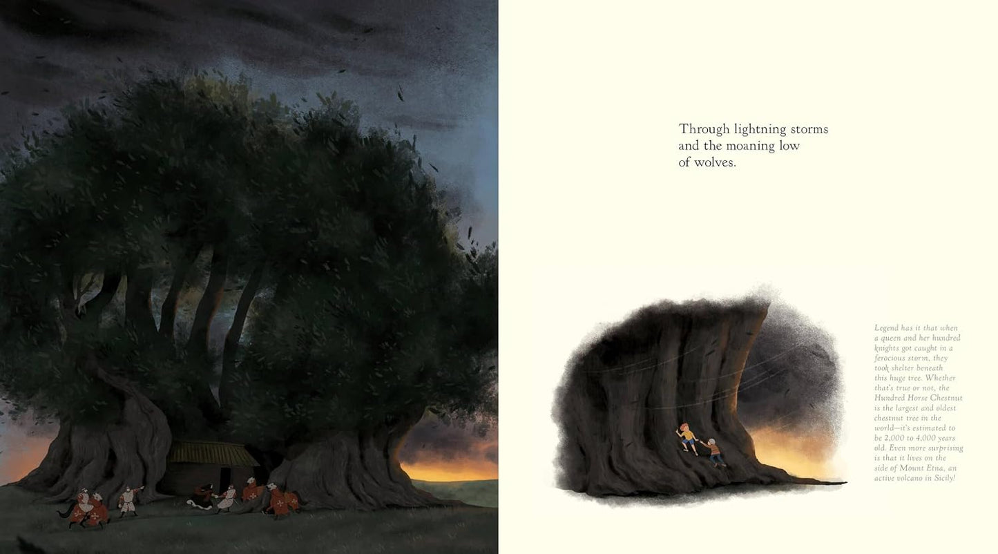 The Witness Trees: Historic Moments and the Trees Who Watched Them Happen