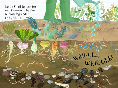 Little Snail's Book of Bugs