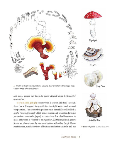 DIY Mushroom Cultivation: Growing Mushrooms at Home for Food, Medicine, and Soil: Growing Mushrooms at Home for Food, Medicine, and Soil