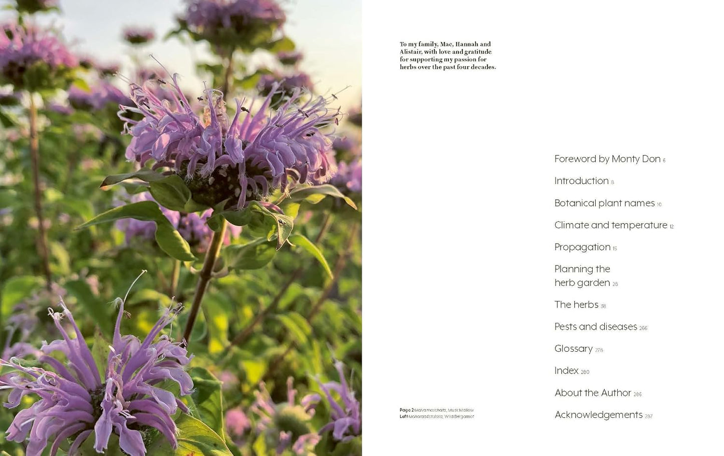 100 Herbs to Grow: A Comprehensive Guide to the Best Culinary and Medicinal Herbs