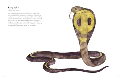 The Colorful World of Reptiles