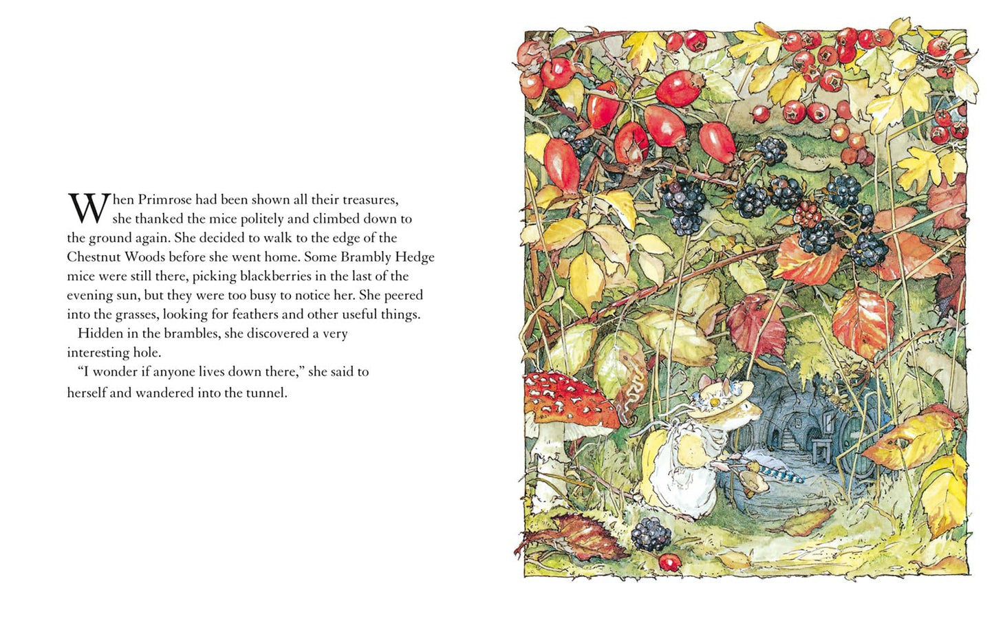 Autumn Story by Jill Barklem