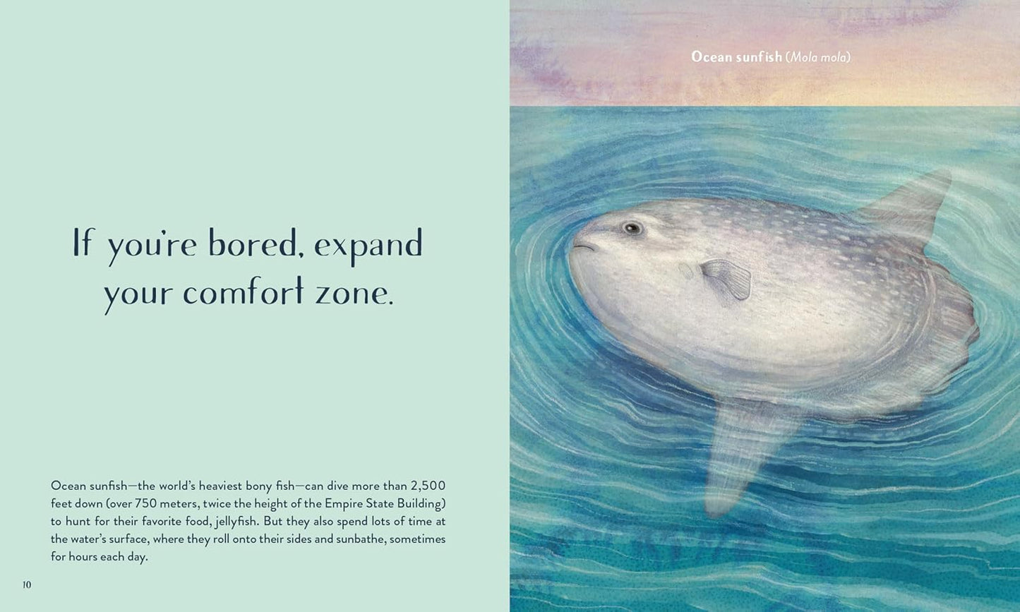 Leaving the Ocean Was a Mistake: Life Lessons from Sixty Sea Creatures: Life Lessons from Sixty Sea Creatures
