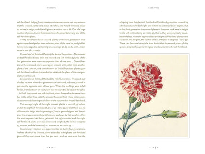 Darwin and the Art of Botany: Observations on the Curious World of Plants: Observations on the Curious World of Plants