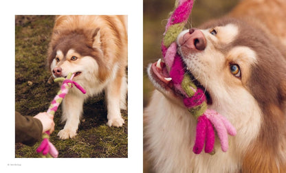 Knits for Dogs
