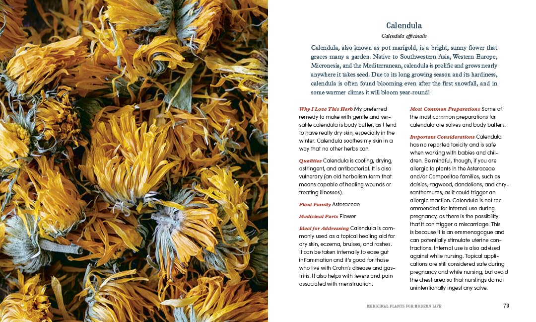 Herbal Medicine for Modern Life: Traditional Folk Remedies for Everyday Health and Well-Being by Ruth Blanding