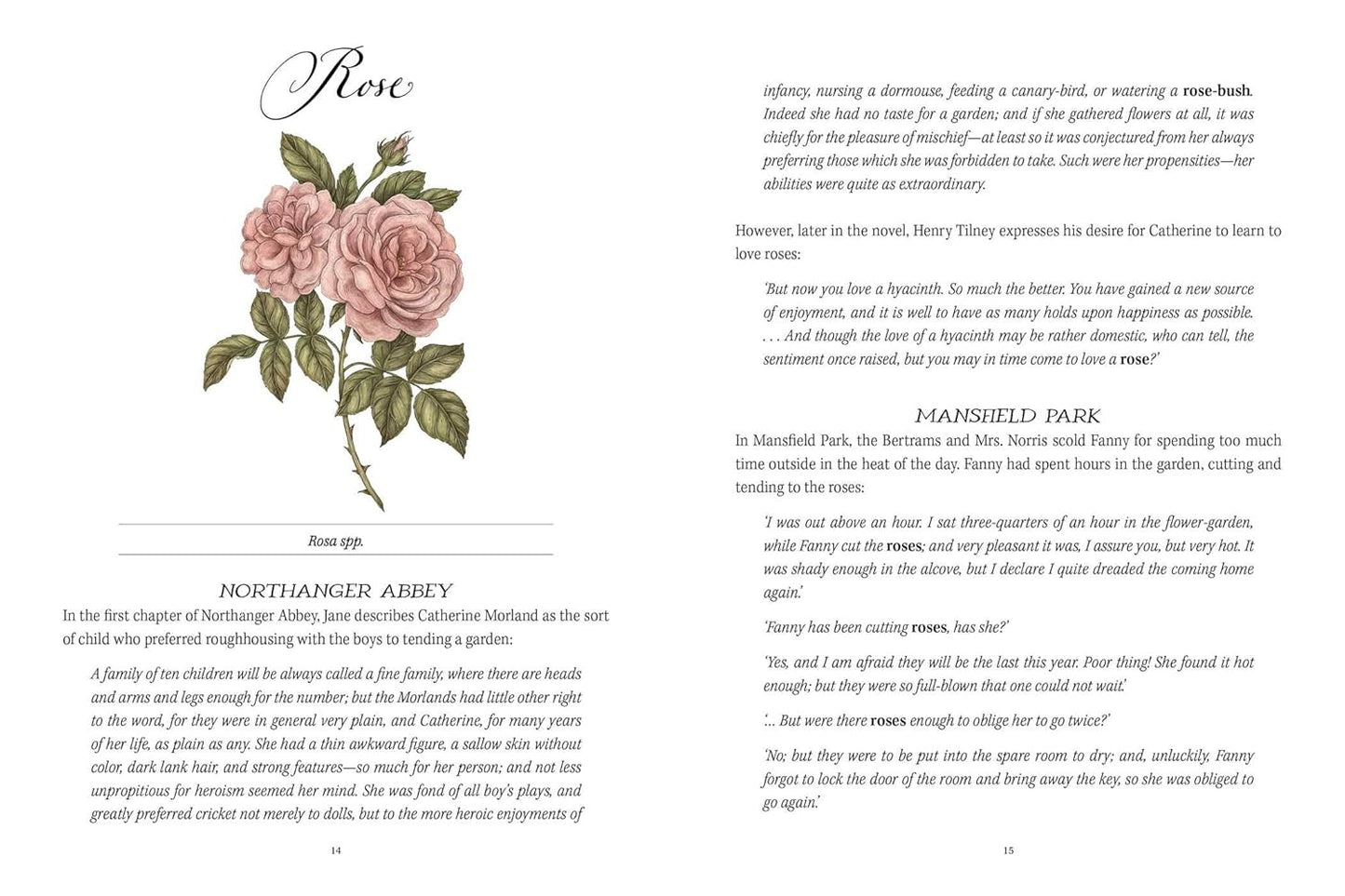 Jane Austen's Garden: A Botanical Tour of the Classic Novels by Molly Williams