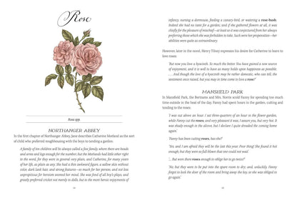 Jane Austen's Garden: A Botanical Tour of the Classic Novels by Molly Williams