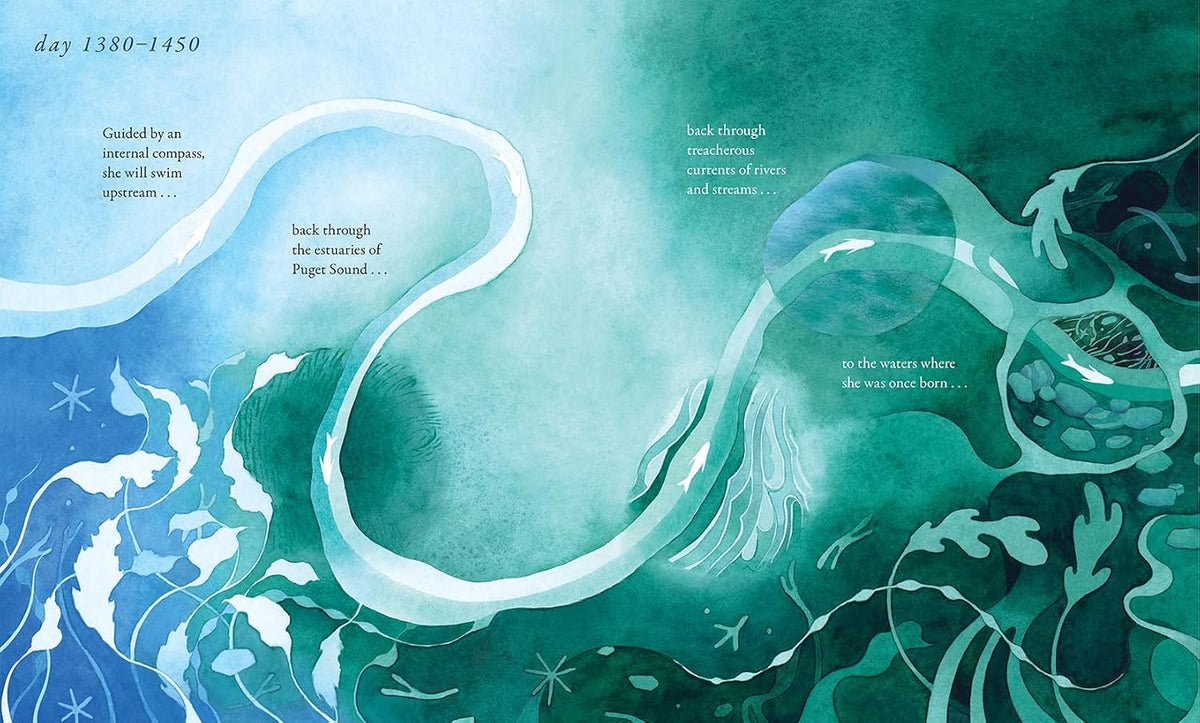 Salmon Run: An Epic Journey to the Ocean and Back
