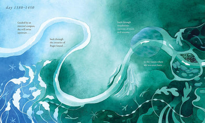 Salmon Run: An Epic Journey to the Ocean and Back
