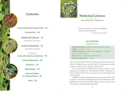 Medicinal Lichens: Indigenous Wisdom and Modern Pharmacology: Indigenous Wisdom and Modern Pharmacology by Robert Dale Rogers