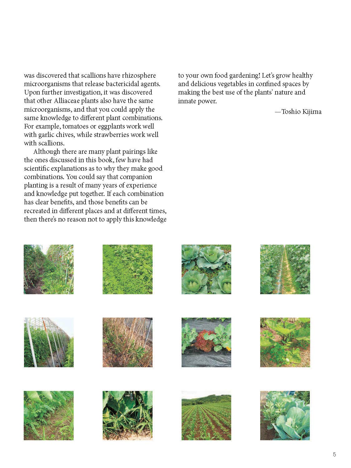 Japanese Style Companion Planting: Organic Gardening Techniques for Optimal Growth and Flavor: Organic Gardening Techniques for Optimal Growth and Flavor