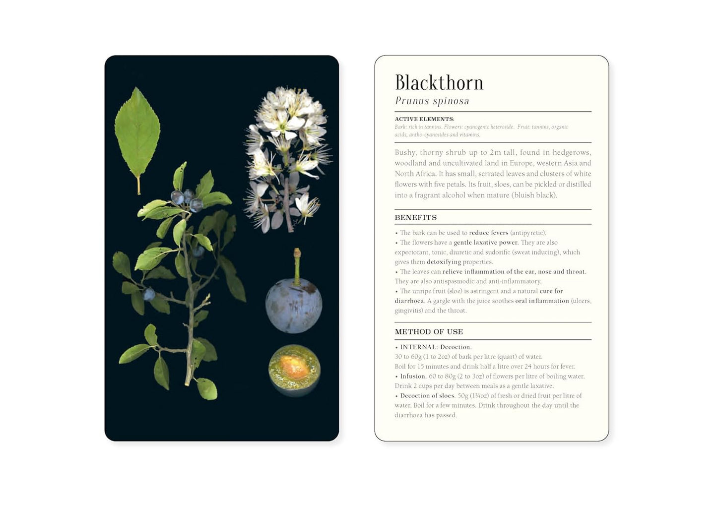 50 Plants That Heal: Discover Medicinal Plants Card Deck by François Couplan & Gérard Debuigne, Pierre And Délia Vignes (Photographers)