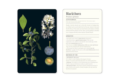 50 Plants That Heal: Discover Medicinal Plants Card Deck by François Couplan & Gérard Debuigne, Pierre And Délia Vignes (Photographers)