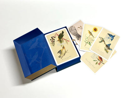 An Almanac of Birds: 100 Divinations for Uncertain Days