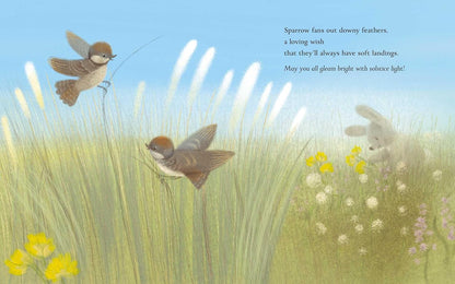 Summer: A Solstice Story