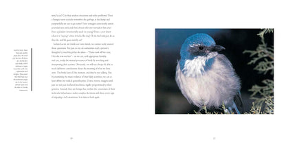 Bird Brains: The Intelligence of Crows, Ravens, Magpies, and Jays: The Intelligence of Crows, Ravens, Magpies, and Jays