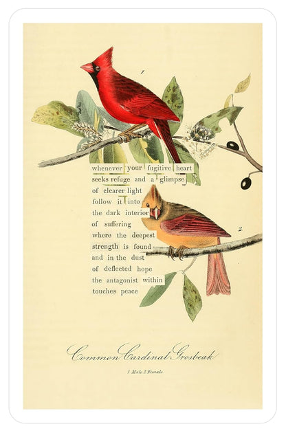 An Almanac of Birds: 100 Divinations for Uncertain Days