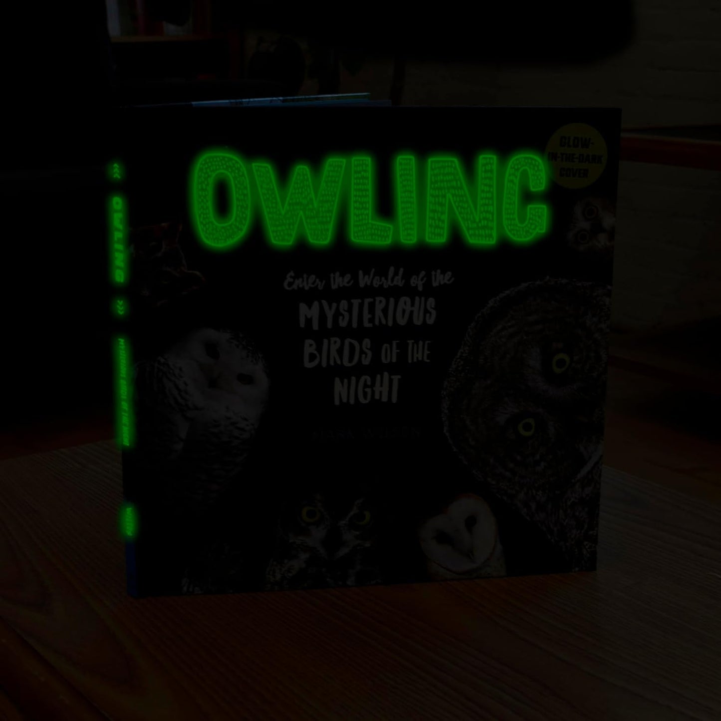 Owling: Enter the World of the Mysterious Birds of the Night by Mark Wilson